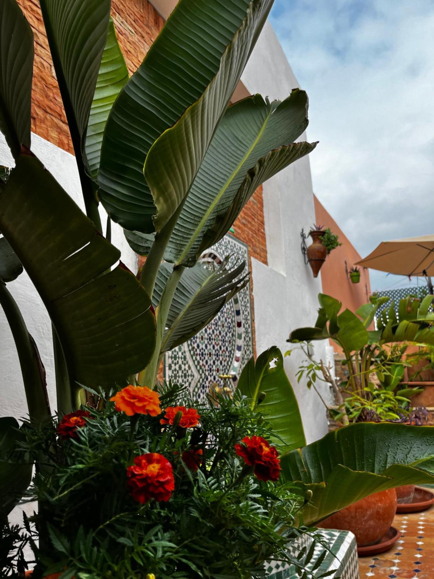 Casa Indigo Hotel Rabat Kültér fotó